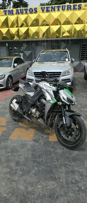 Kawasaki Ninja 1000 2018 Gray