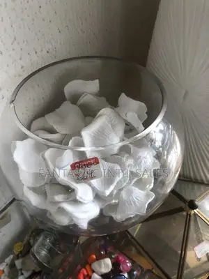 10 Litres Empty Fishbowl-Kit