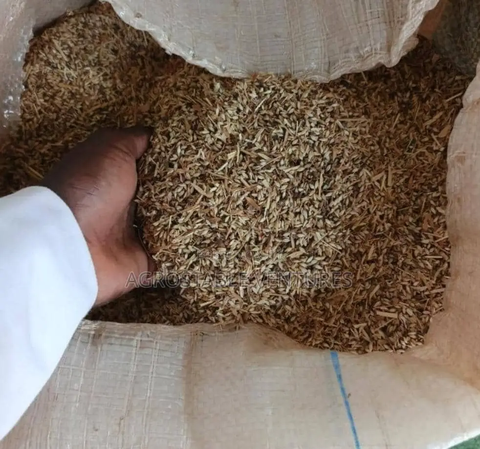 Brachiaria Grass Seed Per Kg