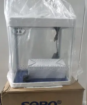 Empty Aquarium Tank
