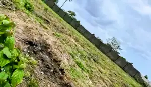 6 Plots Of Dry Land For Sale.
