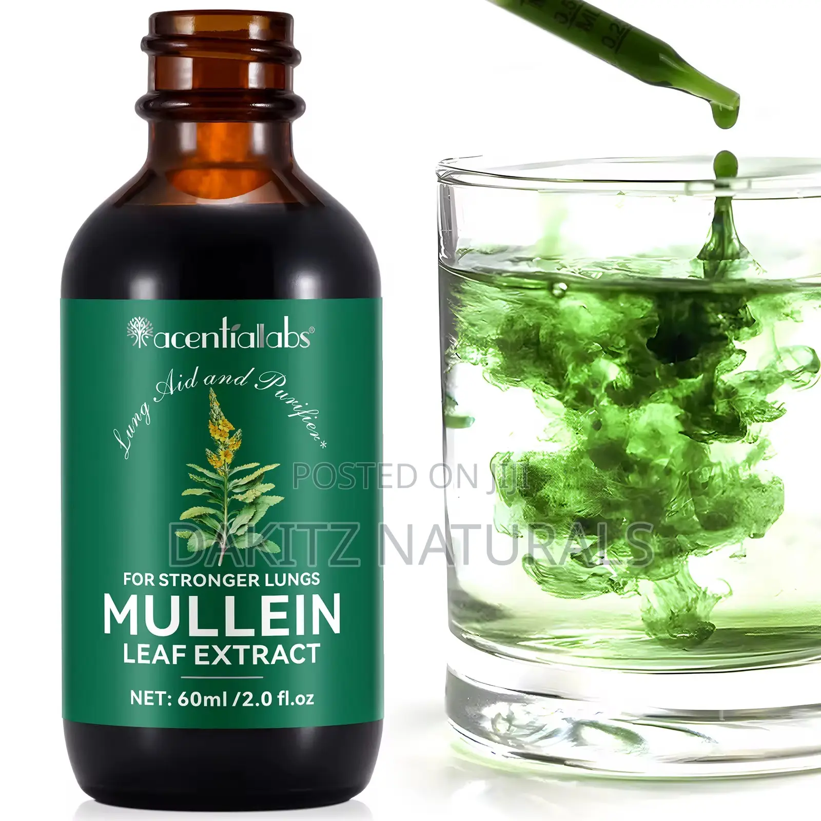 Mullein Leaf Extract for Stronger Lungs