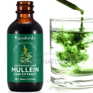 Mullein Leaf Extract for Stronger Lungs