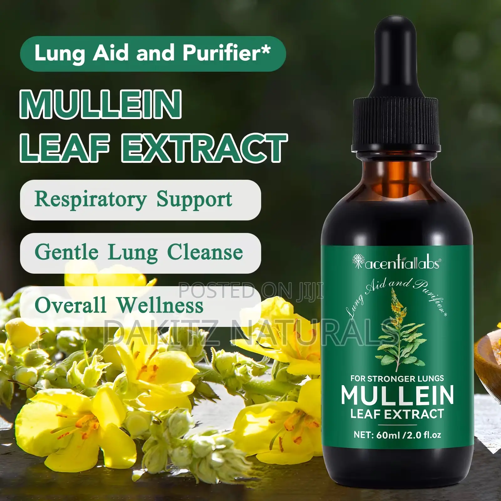 Mullein Leaf Extract for Stronger Lungs