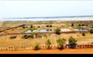 24 Hecters of Farm Land and Fish Farm With Ponds. Benefits From River