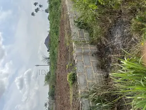 Full Plot Close to Winners Canaanland