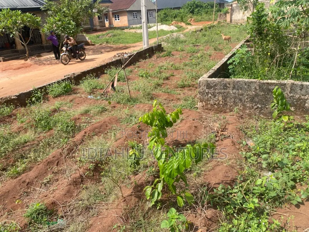 One and Half Plot Close to the Road