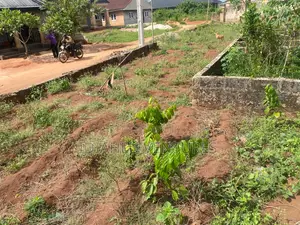 One and Half Plot Close to the Road