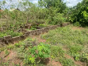 One and Half Plot Close to the Road