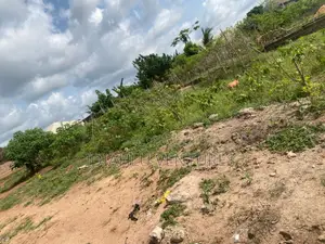 One and Half Plot Close to the Road