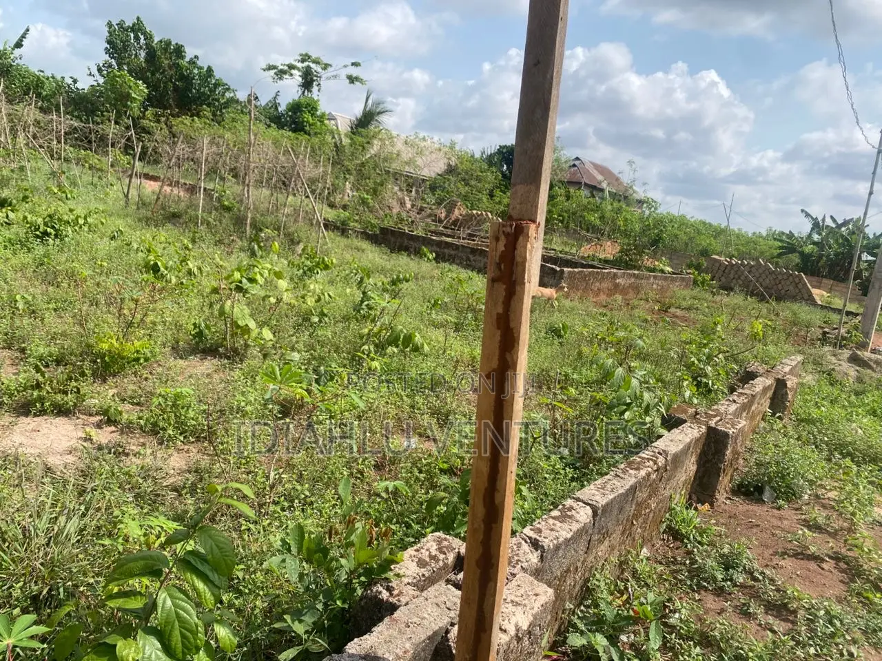 One and Half Plot Close to the Road