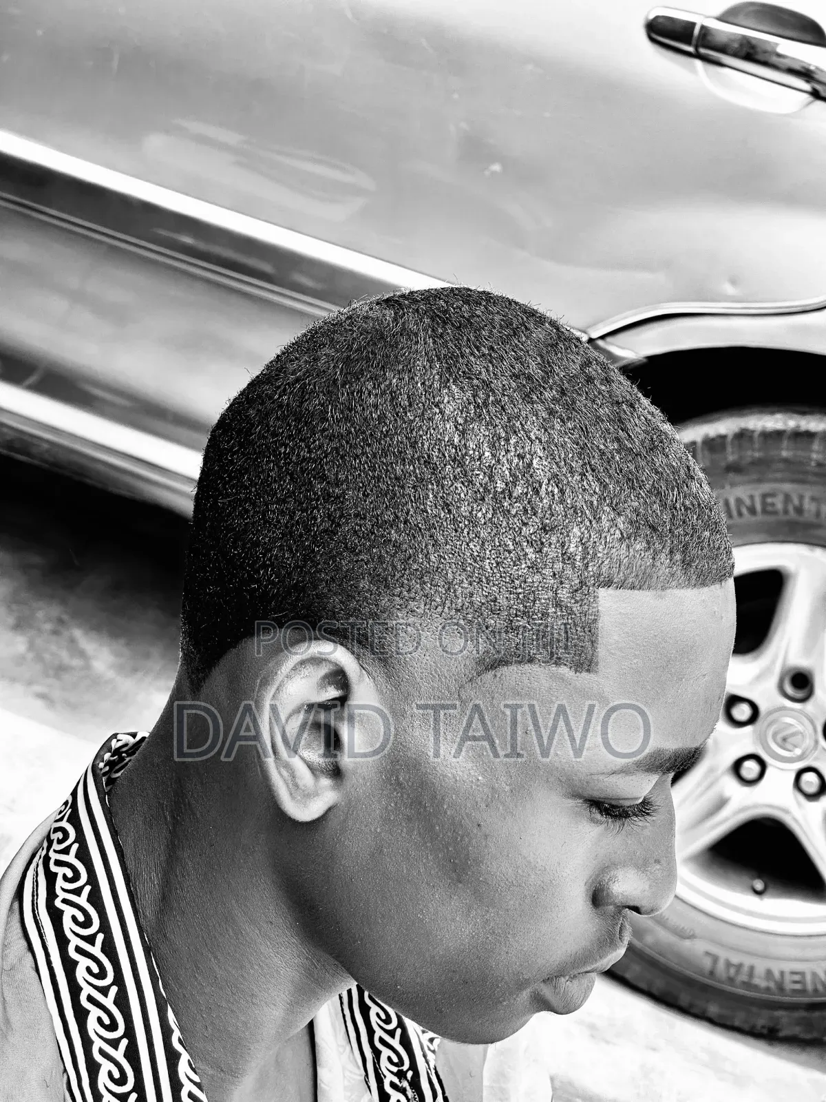 Dino Hair Cut