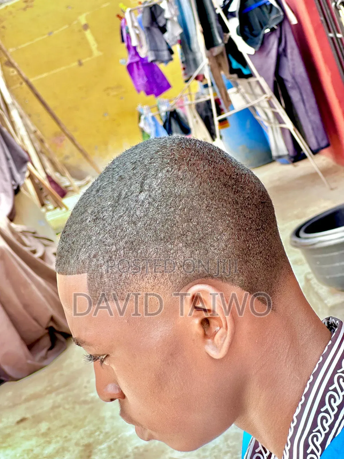 Dino Hair Cut