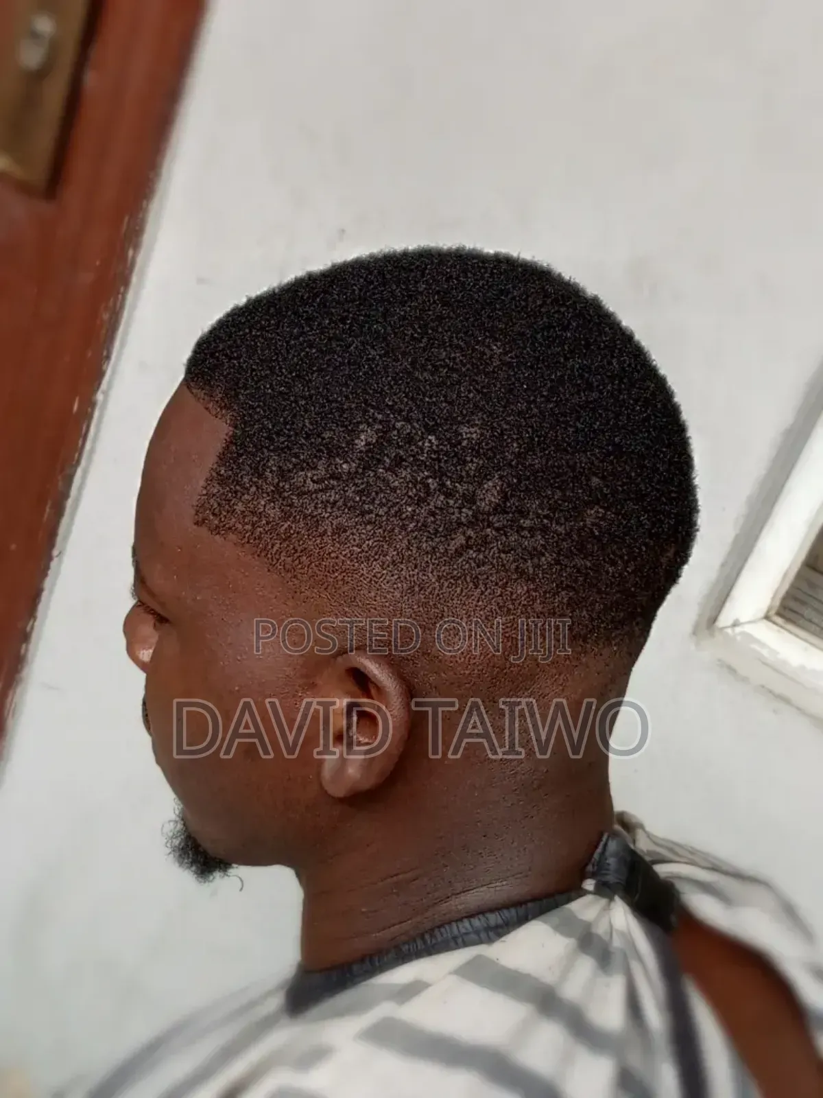 Dino Hair Cut