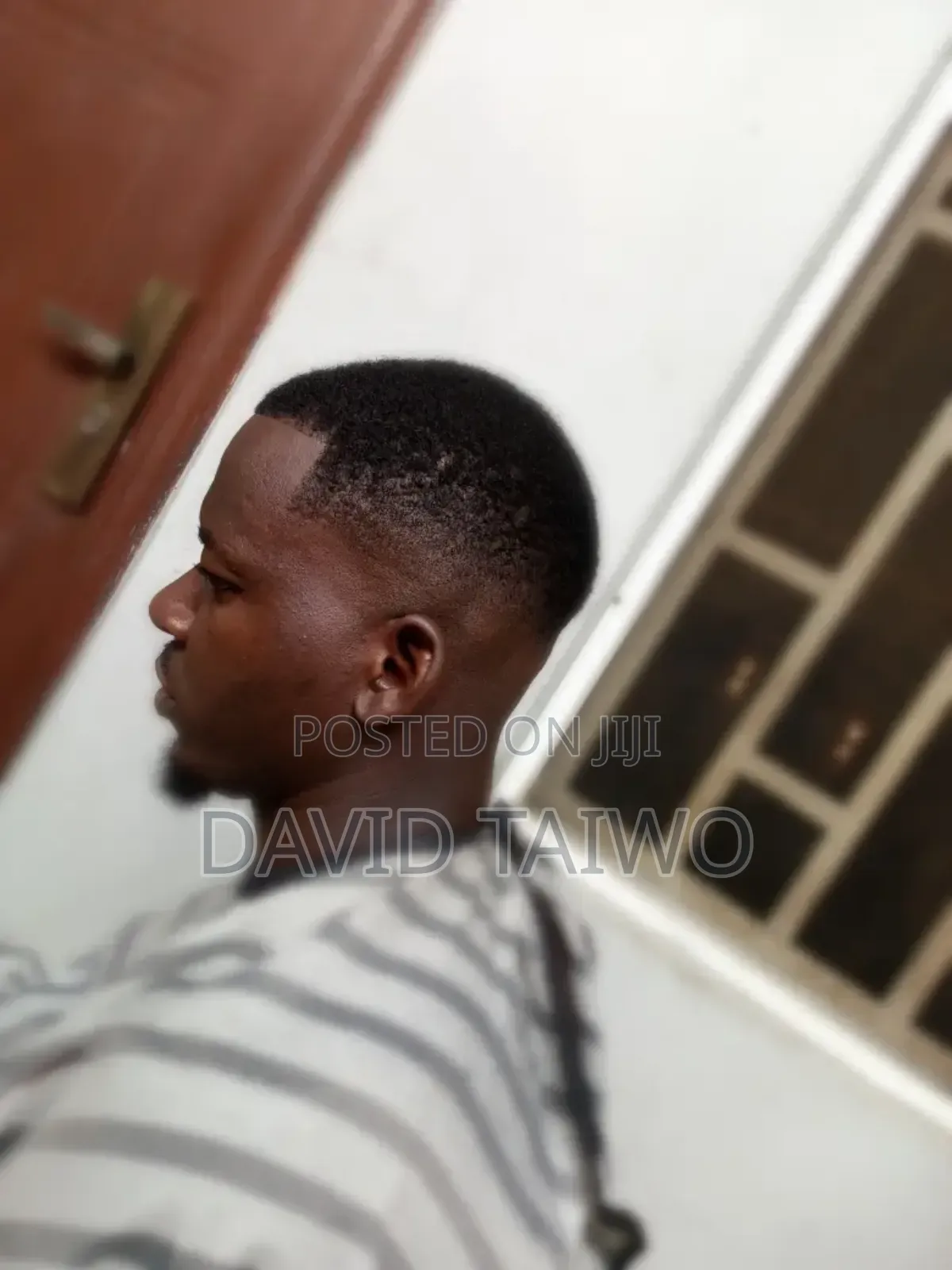 Dino Hair Cut