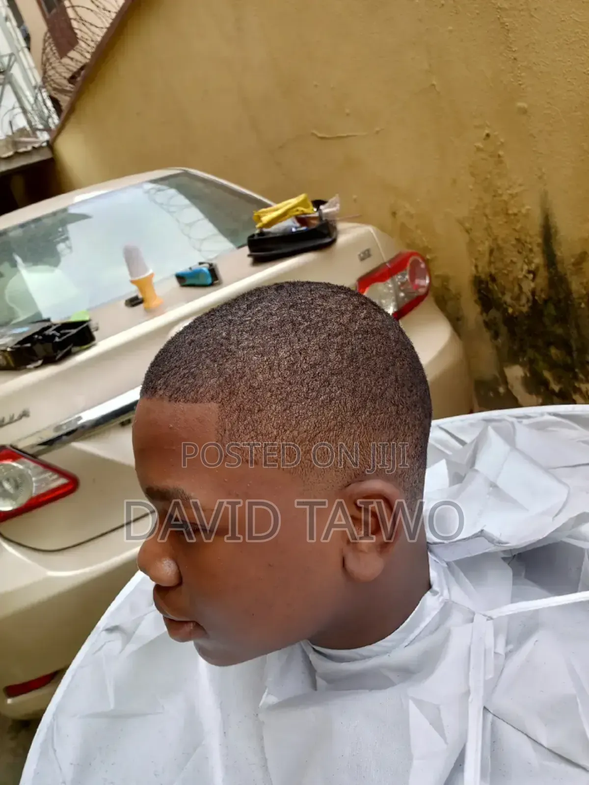 Dino Hair Cut
