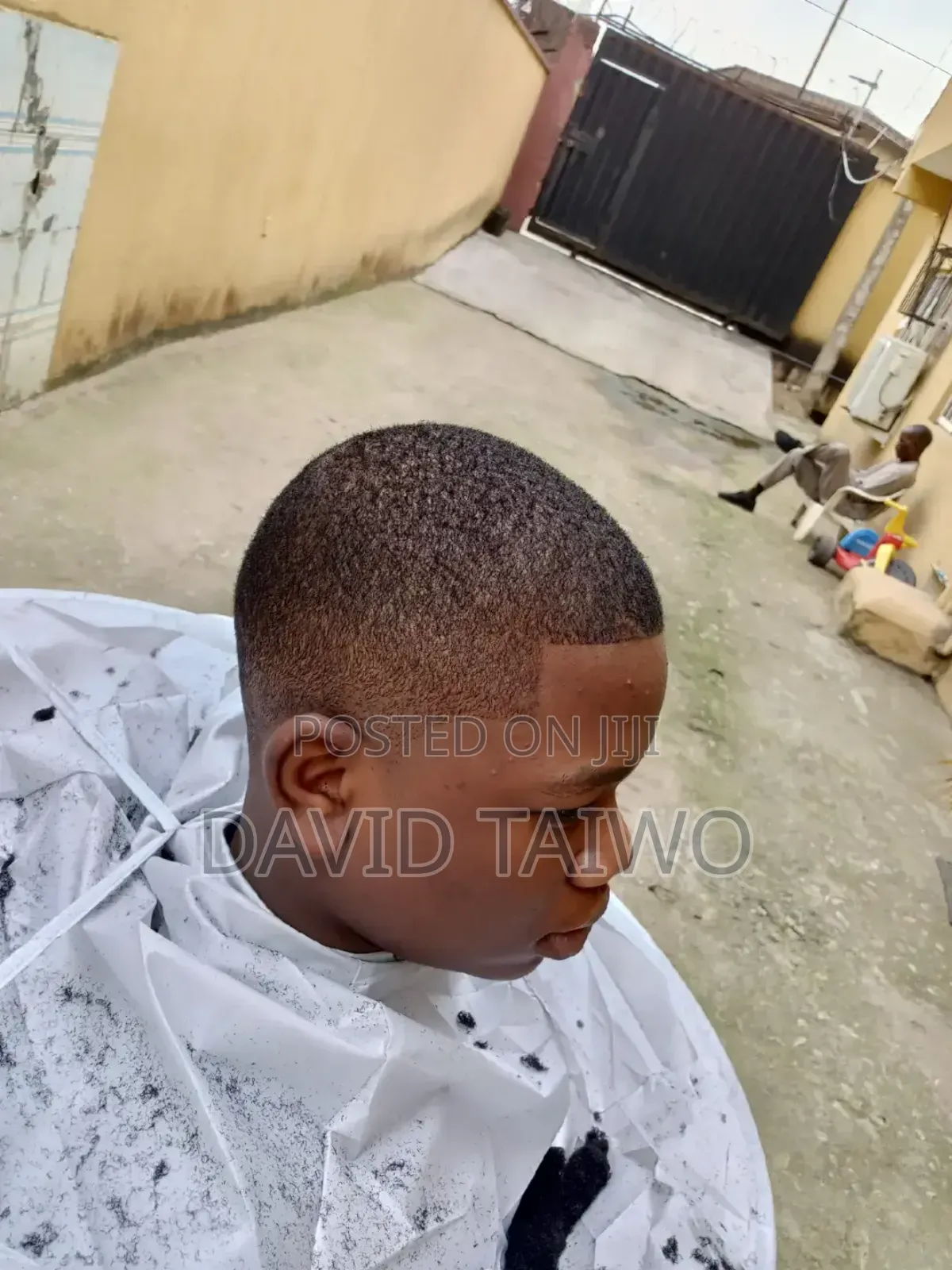 Dino Hair Cut