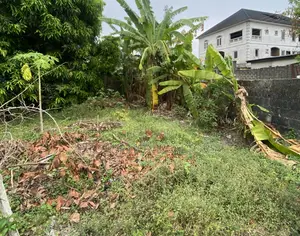 Distress Half Plot of Land Measuring 300sqm at Ogombo Ajah