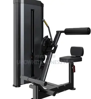 Insight Fitness Sa009d Abdominal / Back Extension Machine