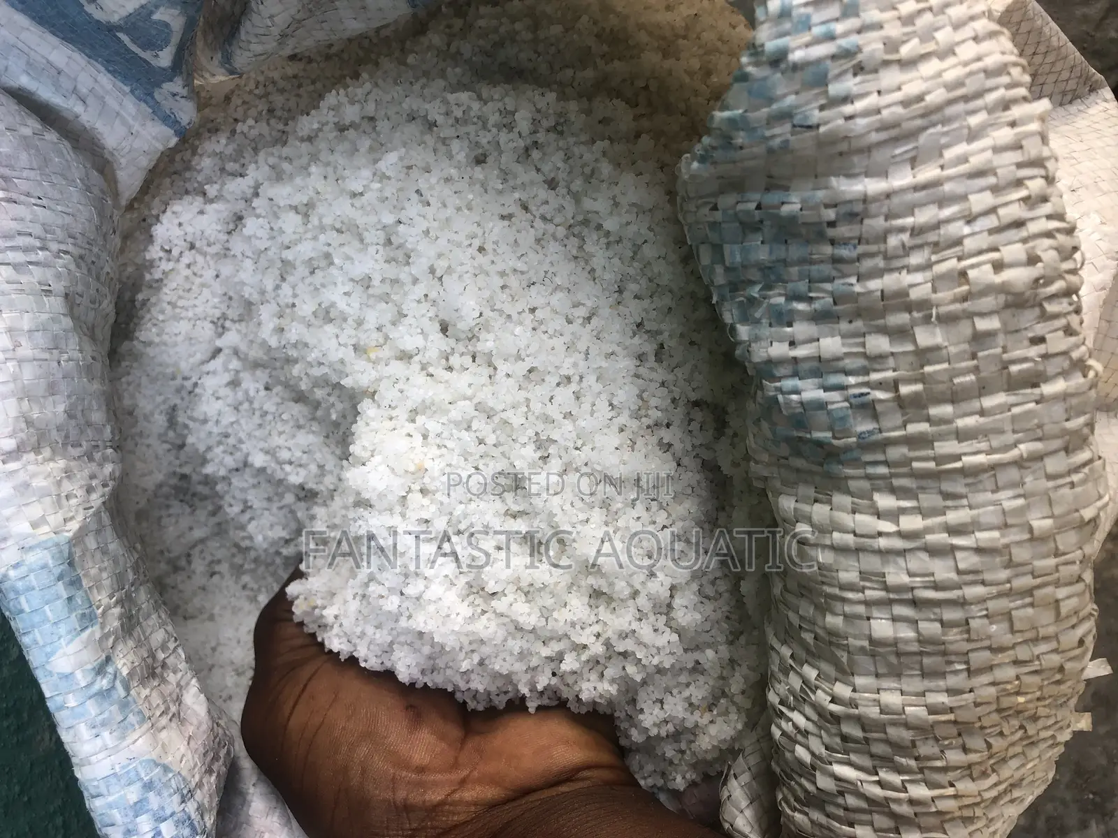 Aquarium White Sand Per Bag