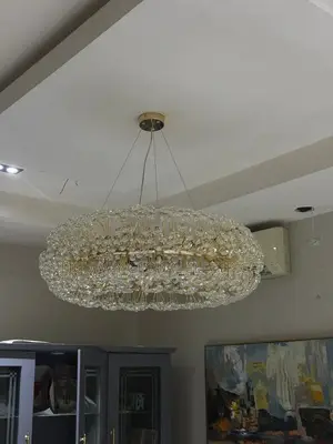 Led Crystal Bid Chandelier