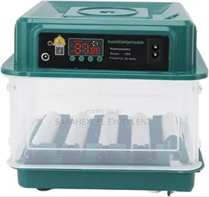 10 Capacity Egg Incubator