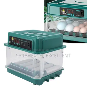 10 Capacity Egg Incubator