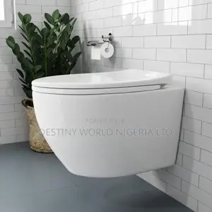 Luxury Wall Mounted Toilet