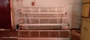Layers Battery Cage (Hot Deap)