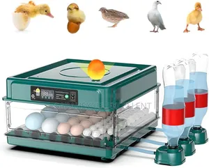 48 Egg Capacity Incubator