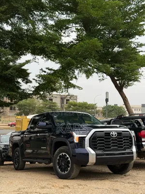 Toyota Tundra 2024 Blue