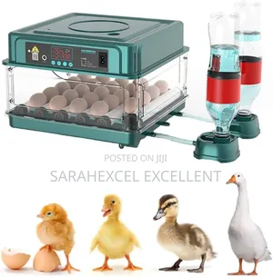 15 Egg Capacity Incubator