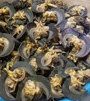 Medium Large Dried Snails,