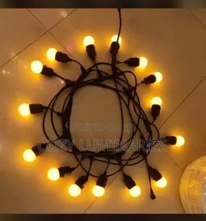 Outdoor String Light Bulb (Festoon Light) – Heavy Duty