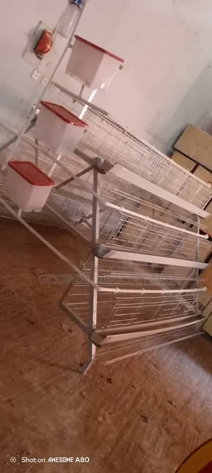 Quality Imported Battery Cage for Layers (Top Quality)