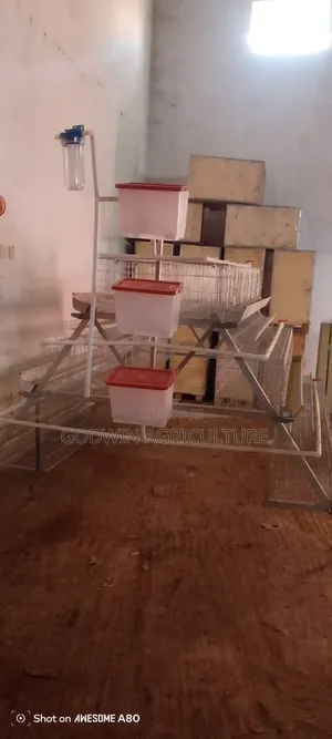 Quality Imported Battery Cage for Layers (Top Quality)