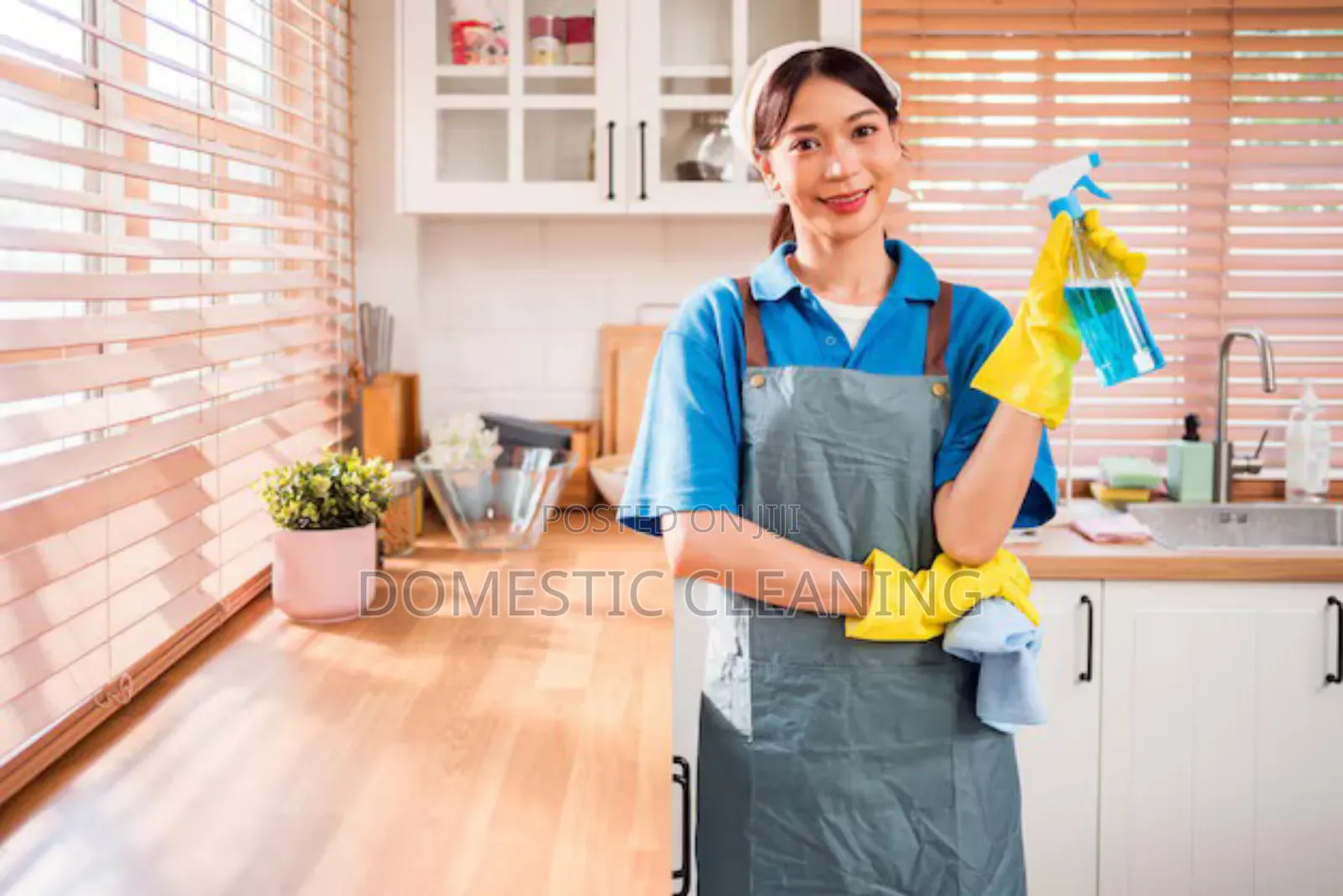 Domestic Cleaning Specialist