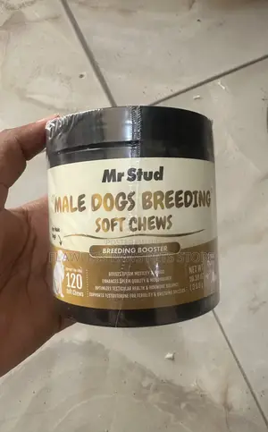 Mr Stud Male Dogs Breeding