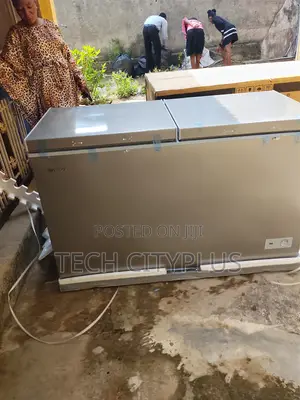 Snowsea Bd-600g Deep Freezer 420l Large Capacity