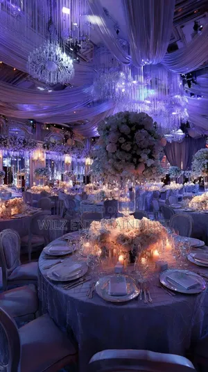 Professional Ushers, Dj, Mc, Decoration Event Services in Lagos