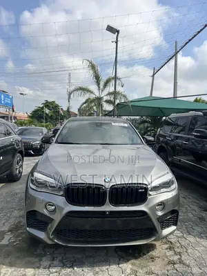 BMW X6 2015 Gray