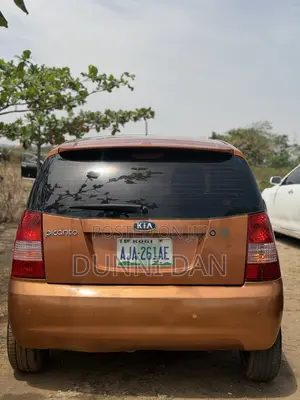 Kia Picanto 2007 Gray