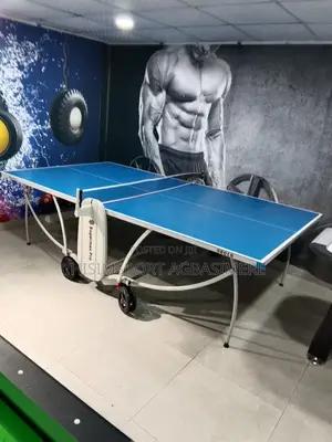 Table Tennis Board Pro Lite