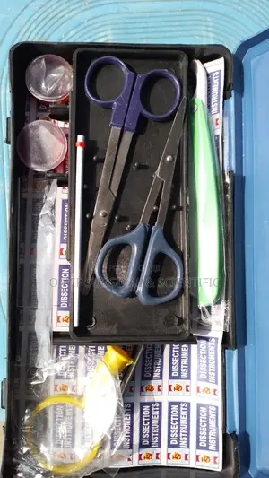 Dissecting Set