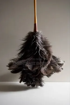 Long Feather Duster