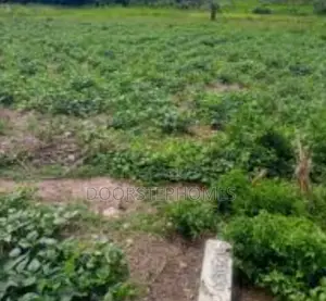 1124.02sqm Residential Land For Sale In Gwarimpa 2