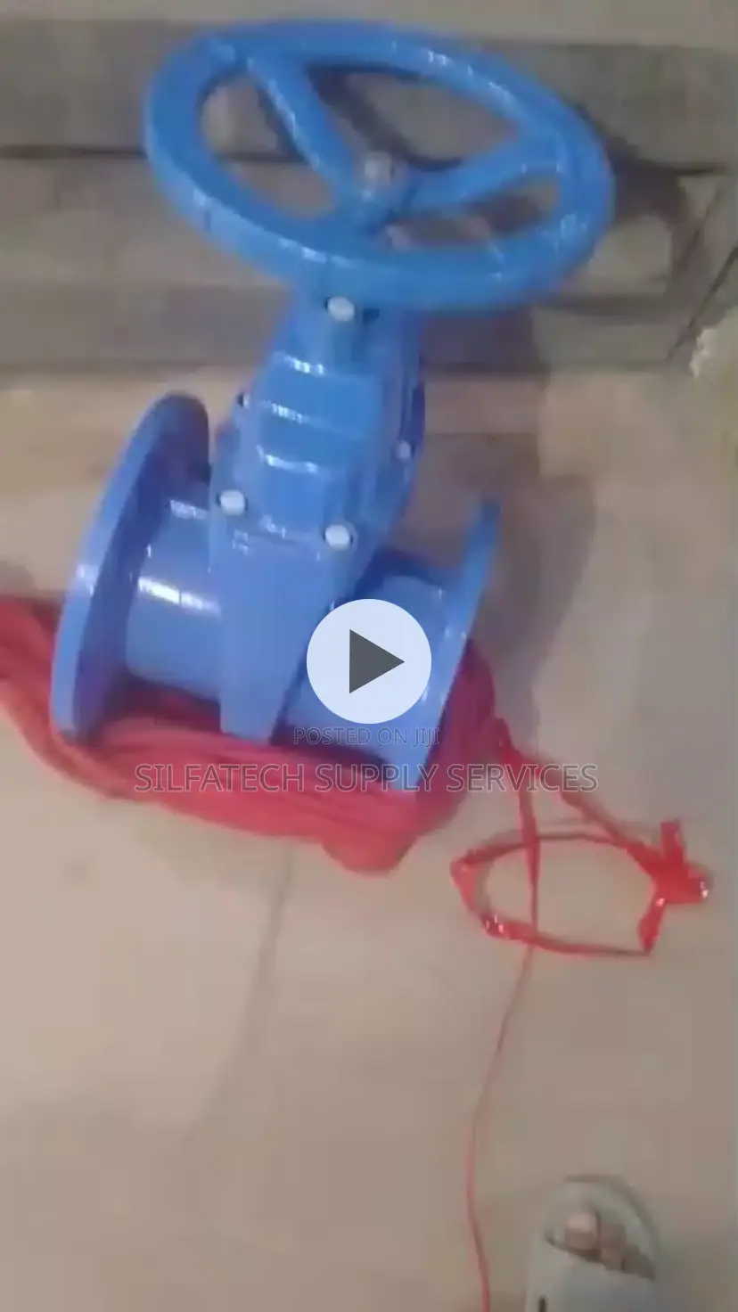 Original Gate Valve