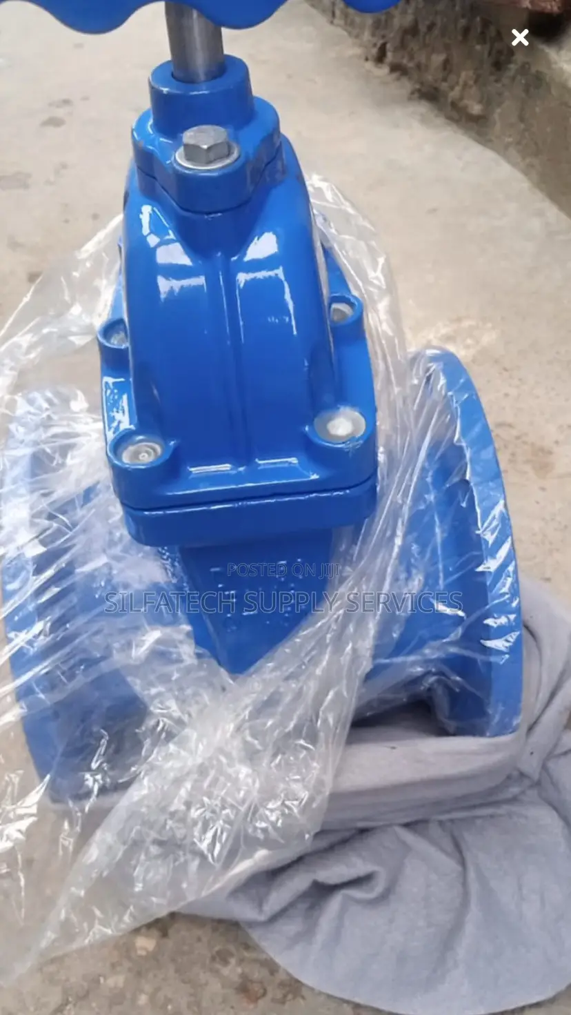Original Gate Valve