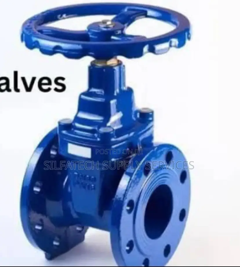 Original Gate Valve