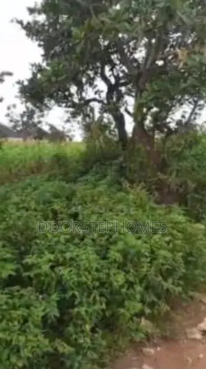 1124.02sqm Residential Land For Sale In Gwarimpa 2